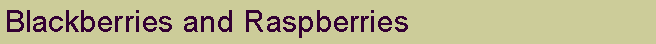 Text Box: Blackberries and Raspberries