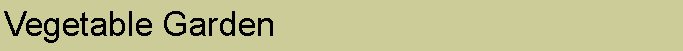 Text Box: Vegetable Garden