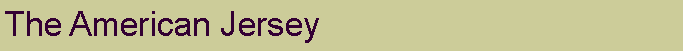 Text Box: The American Jersey