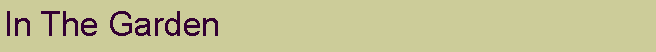Text Box: In The Garden